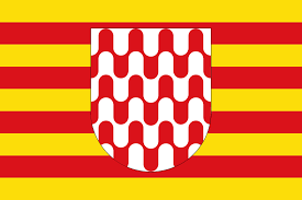  Renovar Carnet Conducir en Girona 